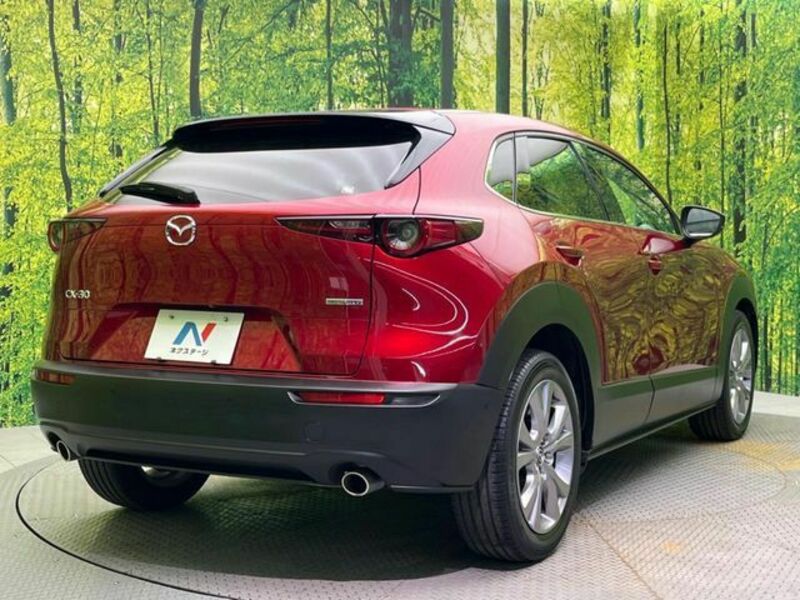 CX-30