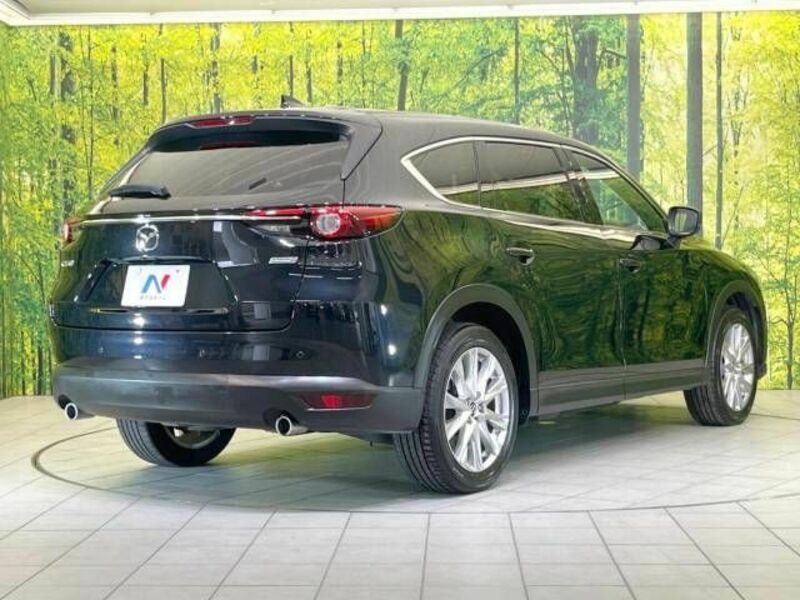 CX-8