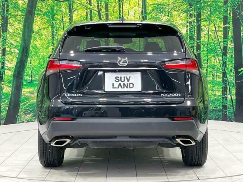 NX