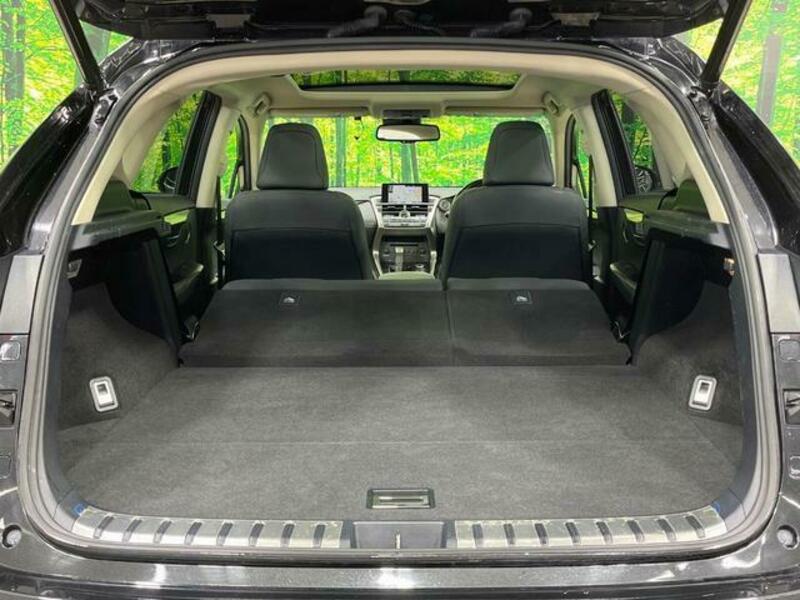 NX