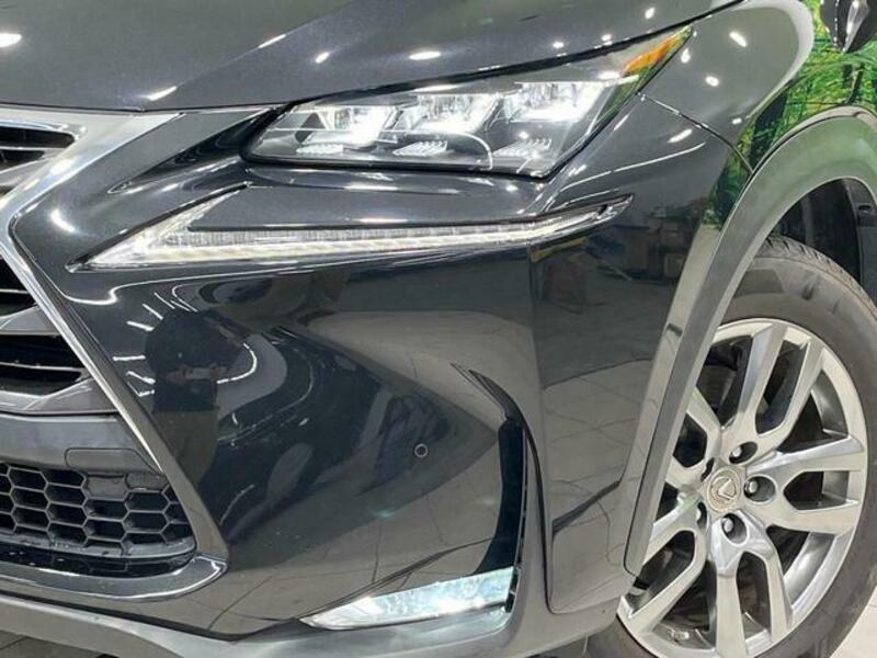 NX