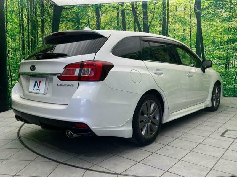 LEVORG