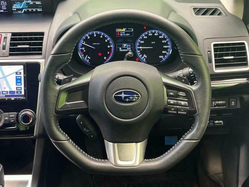 LEVORG