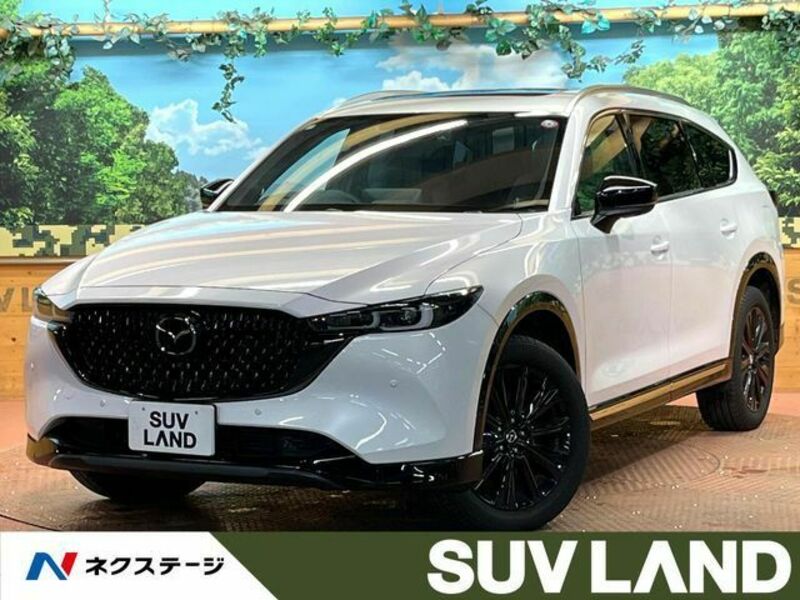 CX-8-0