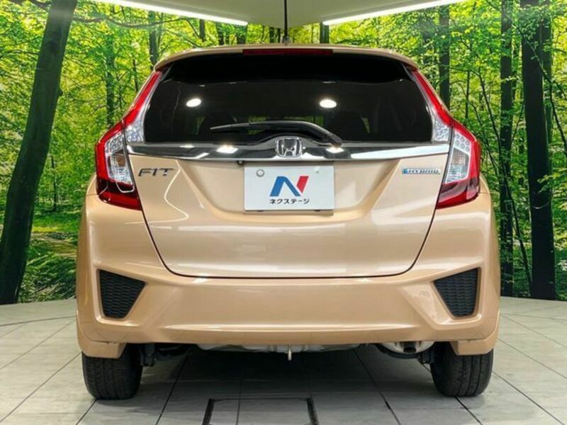 FIT HYBRID