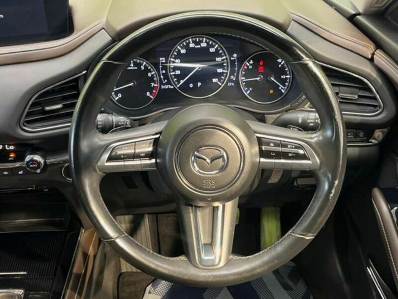 CX-30