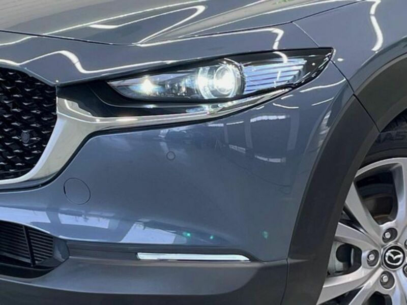 CX-30