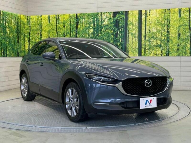 CX-30