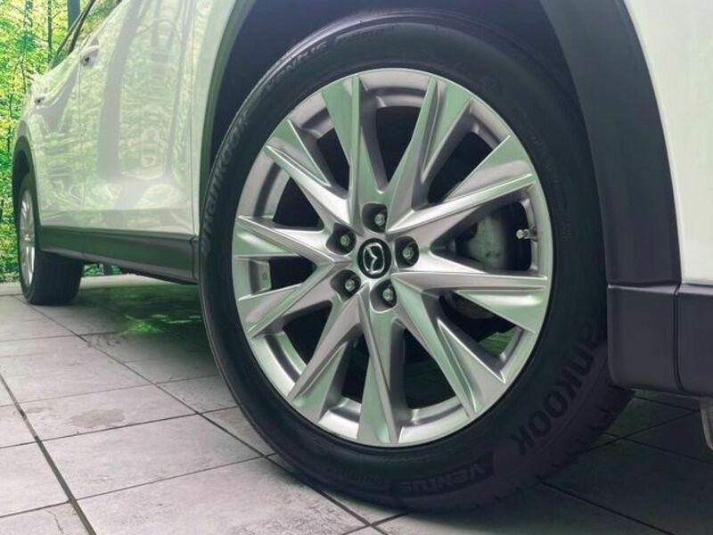CX-8