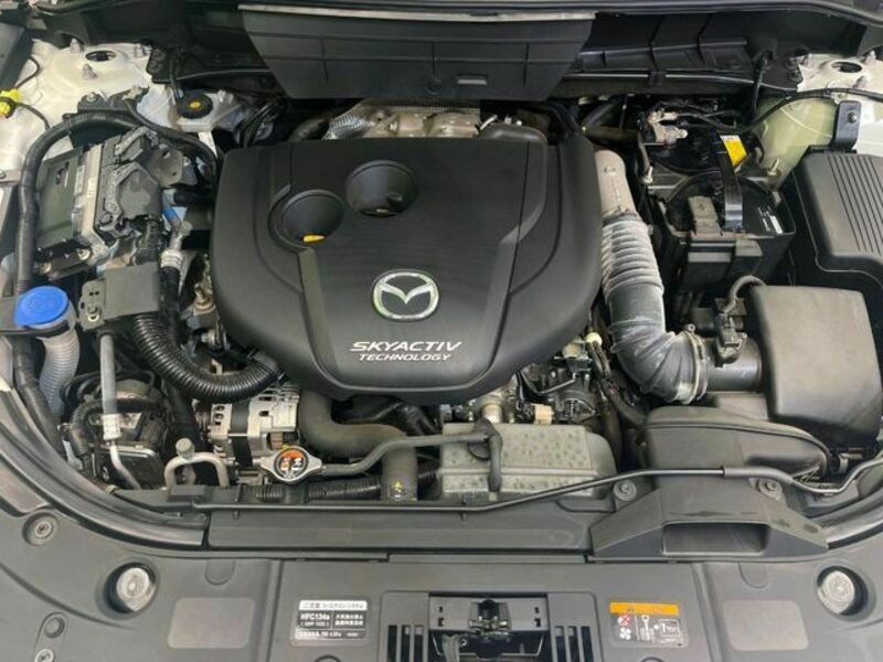 CX-8