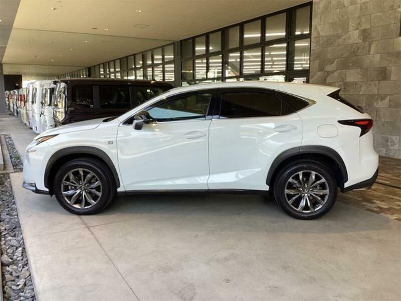 NX