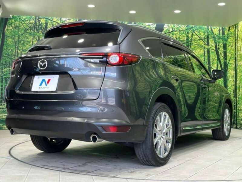 CX-8