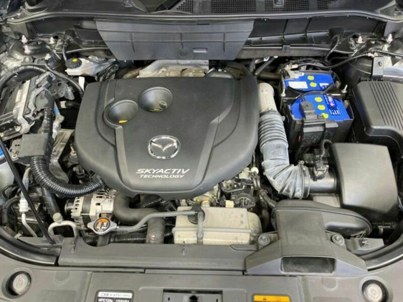 CX-8