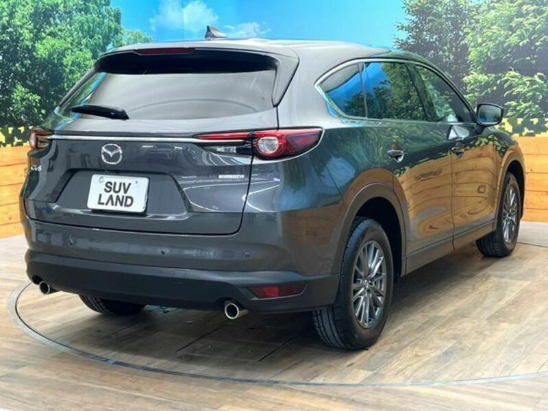 CX-8