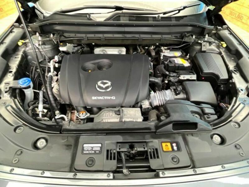 CX-8