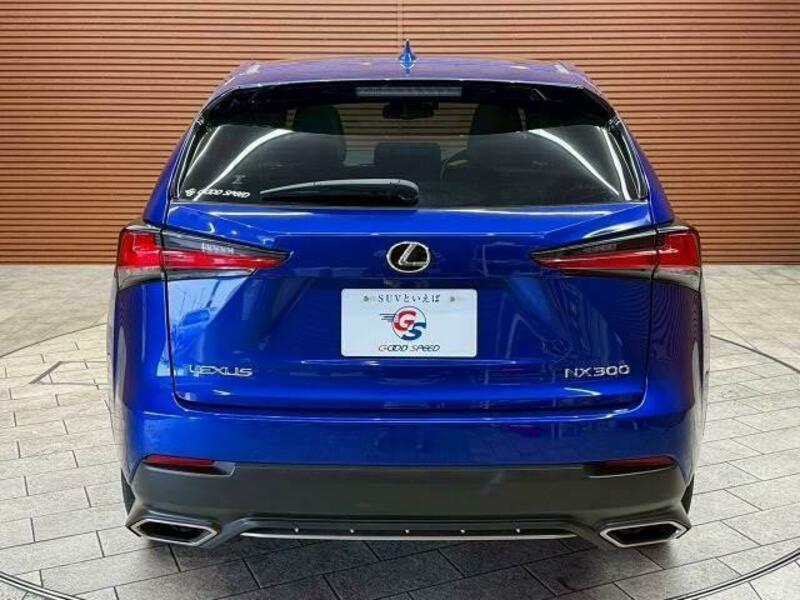 NX
