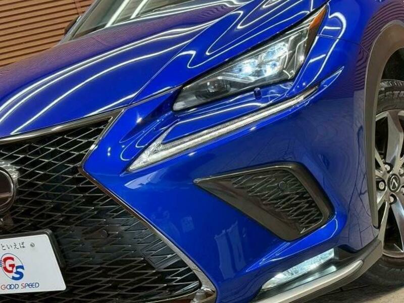 NX