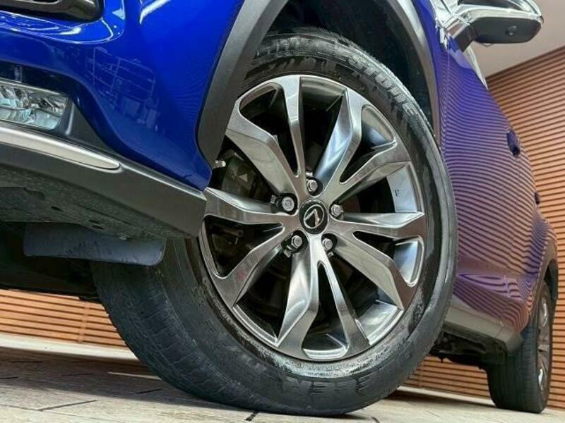 NX