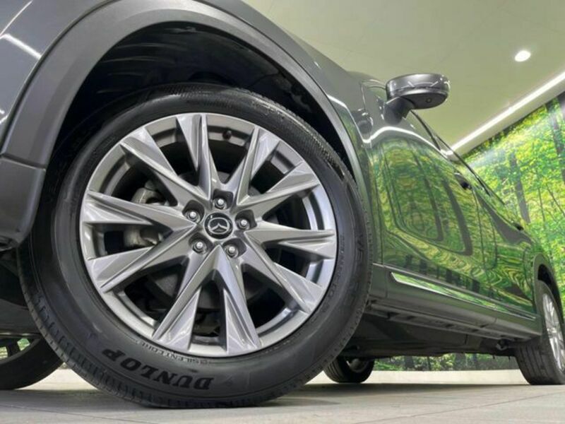 CX-8