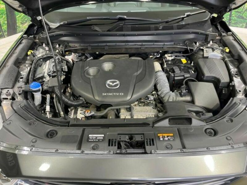 CX-8