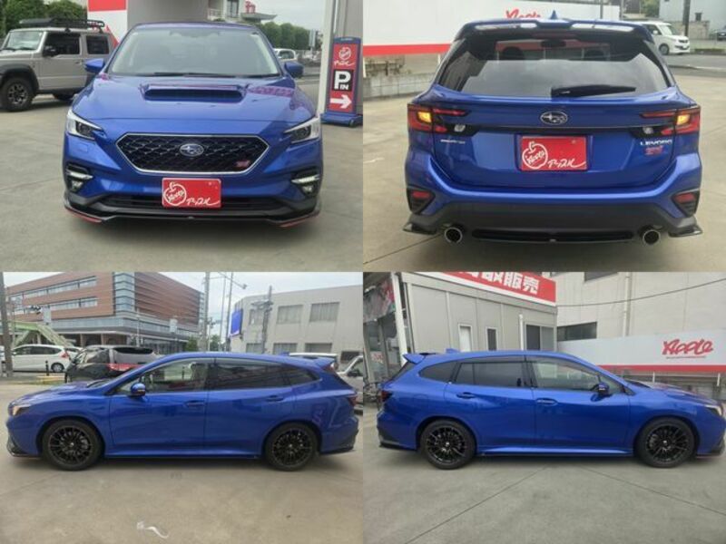 LEVORG