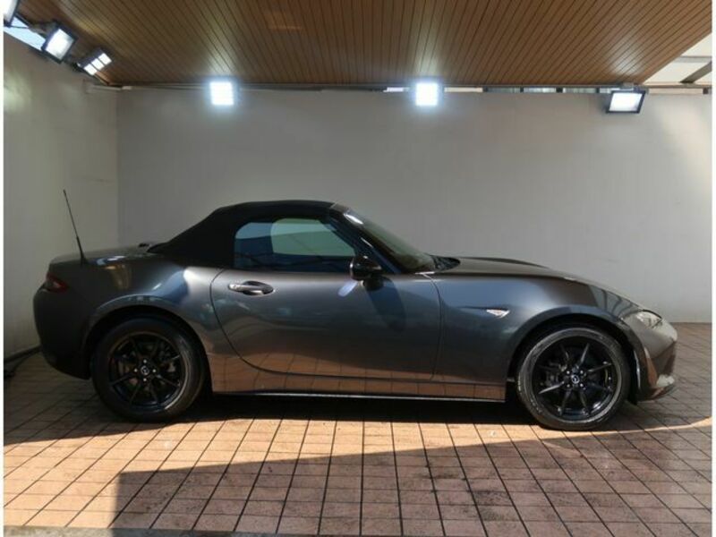 ROADSTER