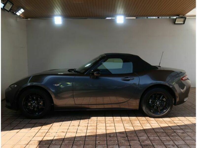 ROADSTER