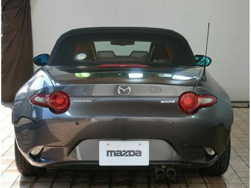 ROADSTER