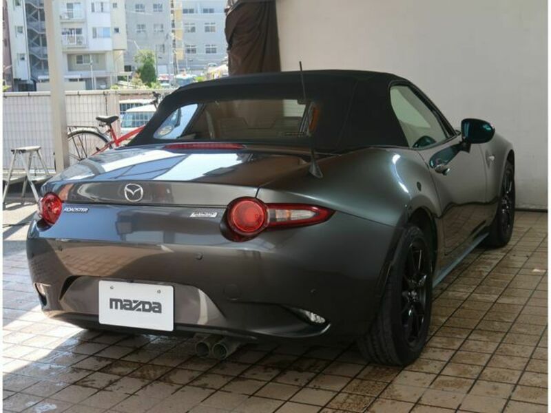 ROADSTER