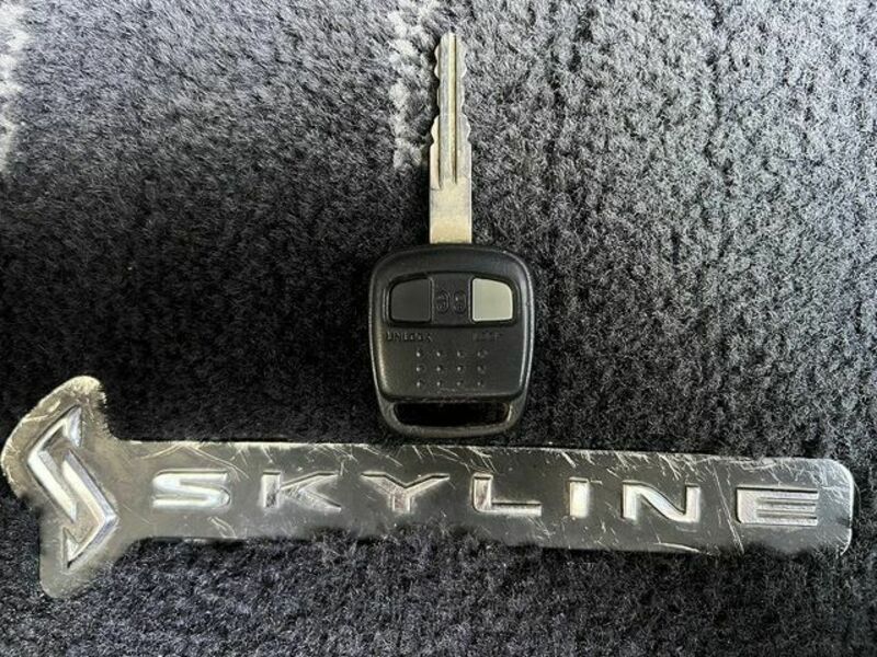SKYLINE