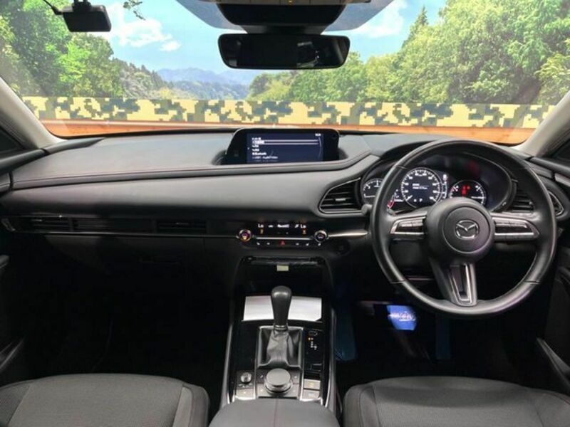 CX-30