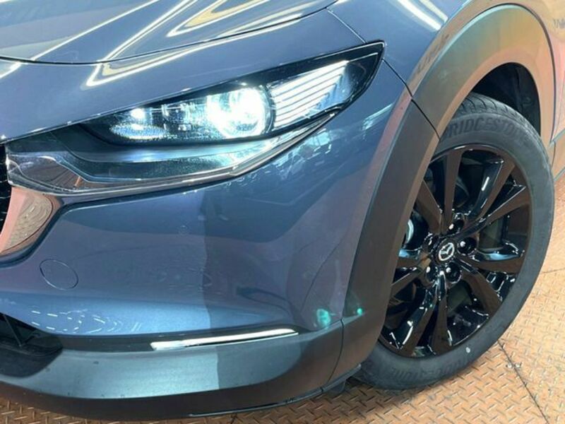 CX-30