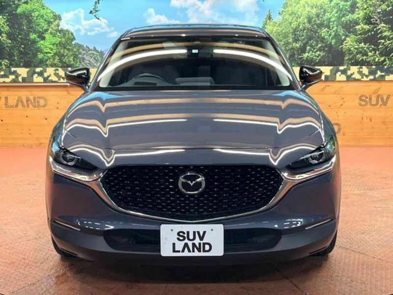 CX-30