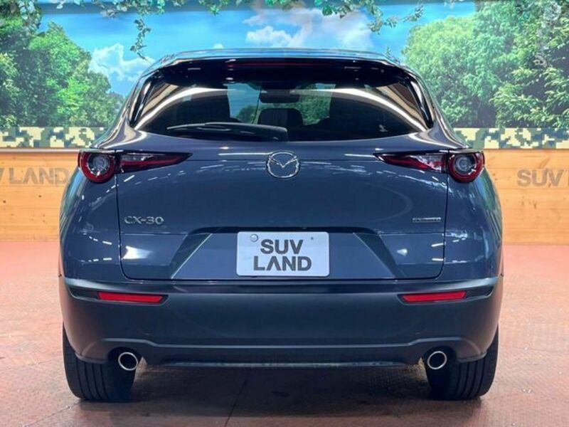 CX-30