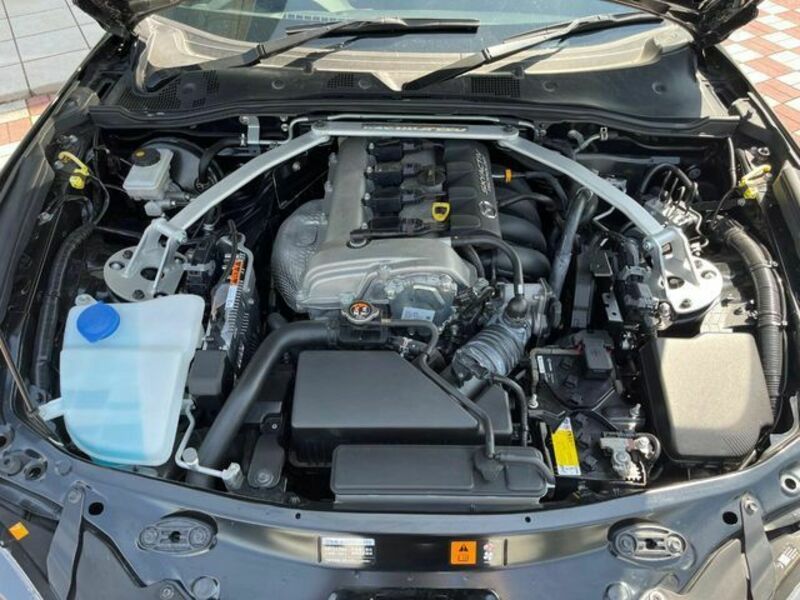 ROADSTER RF