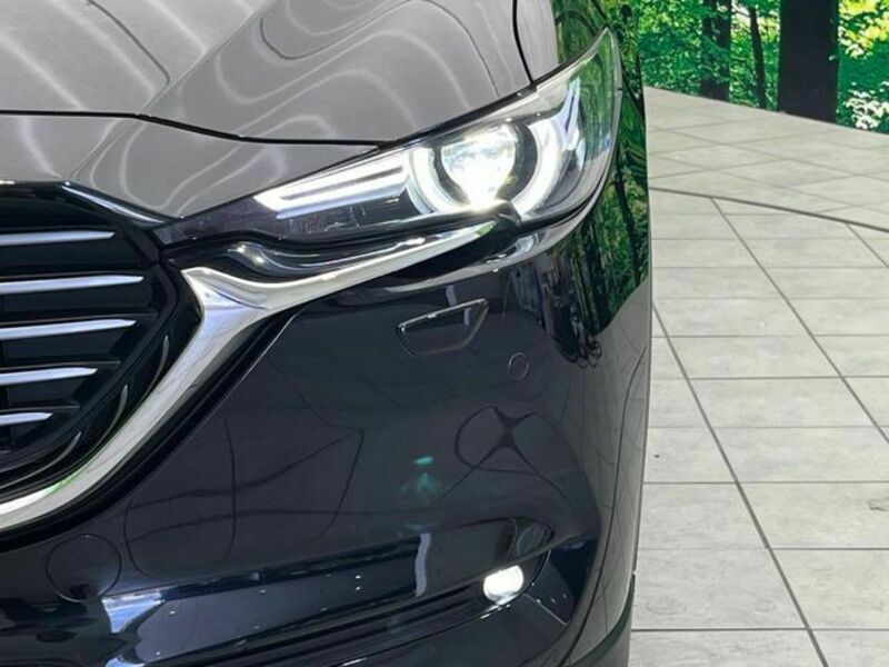 CX-8