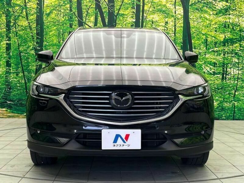 CX-8
