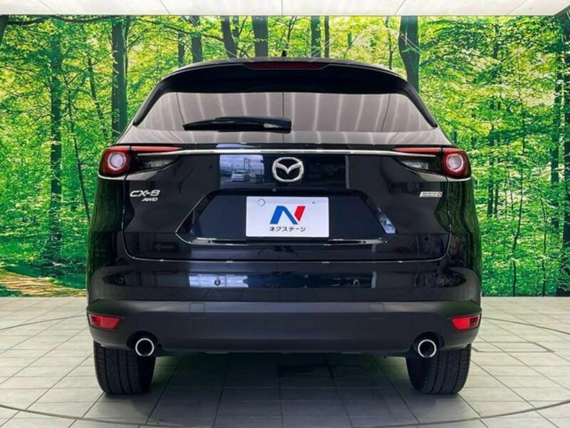 CX-8