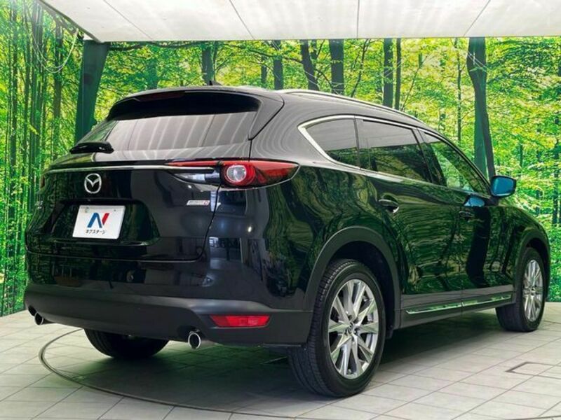 CX-8