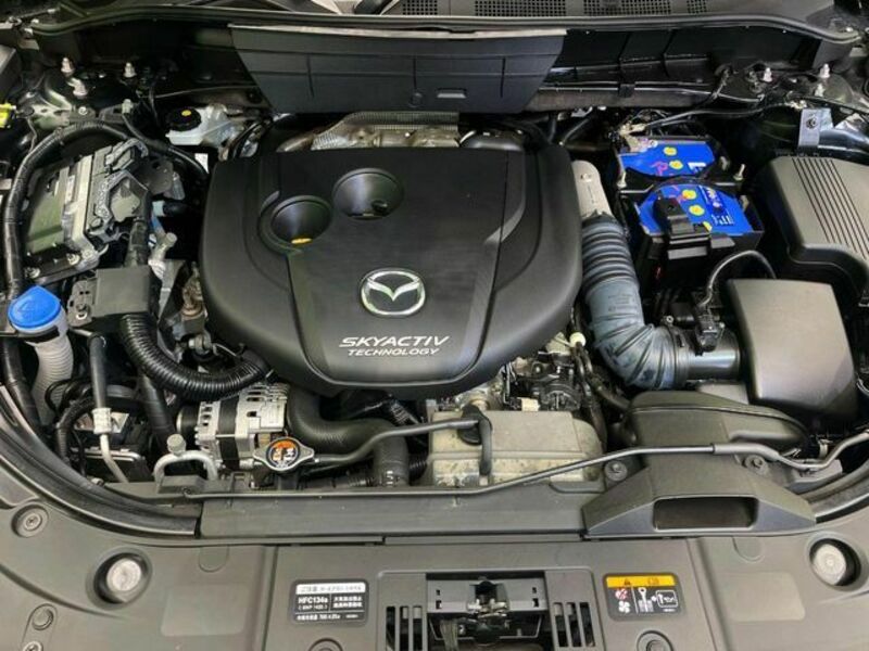 CX-8