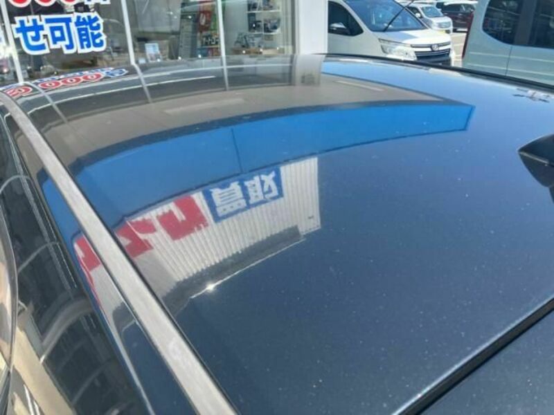 AURIS