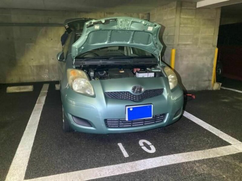 VITZ-0