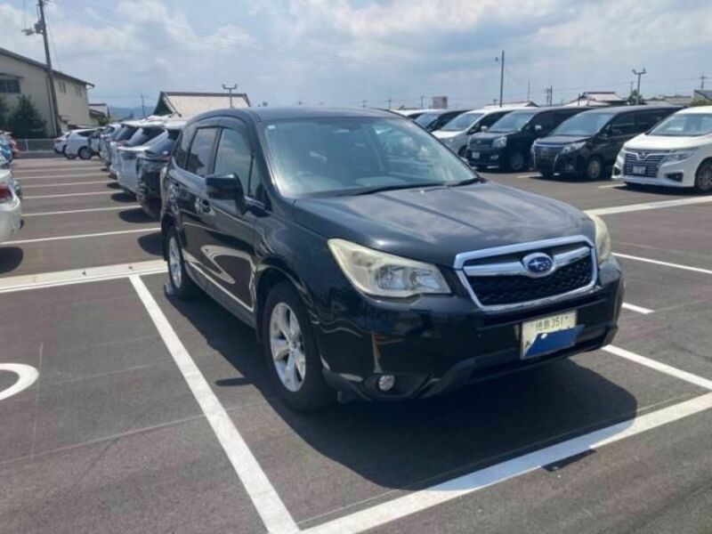 FORESTER
