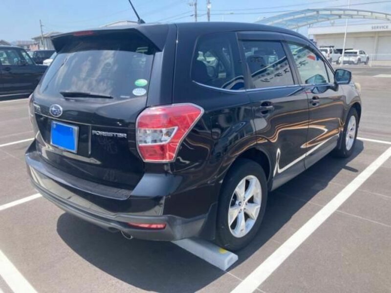 FORESTER