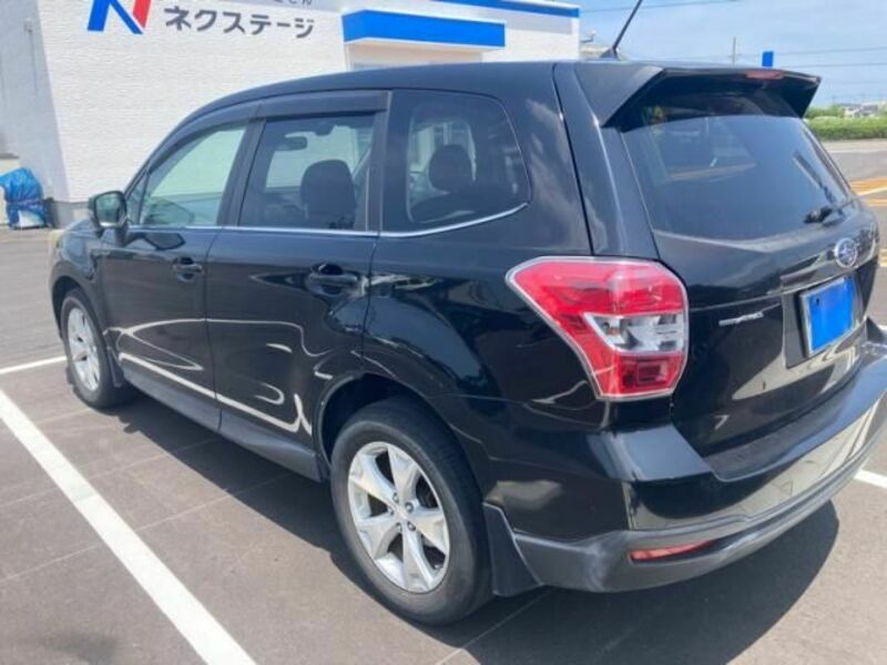 FORESTER
