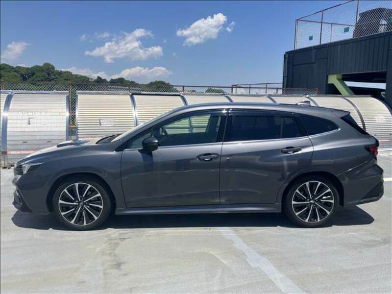 LEVORG
