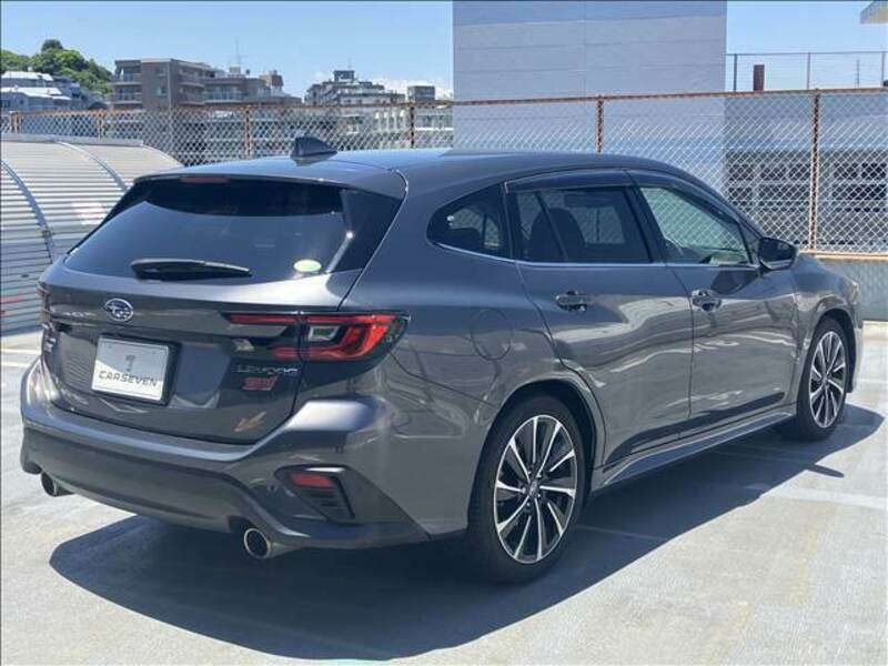 LEVORG