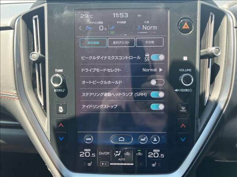 LEVORG