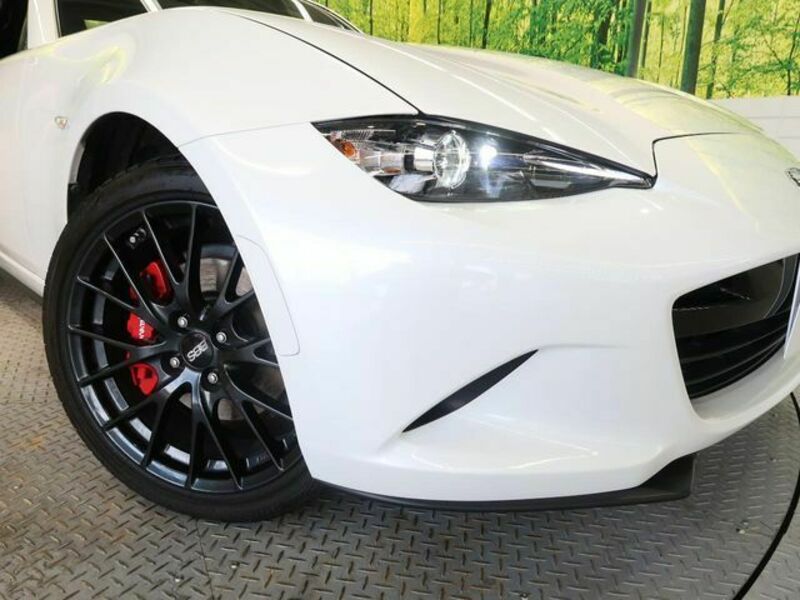 ROADSTER RF