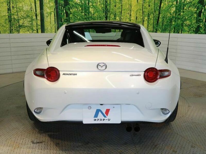 ROADSTER RF